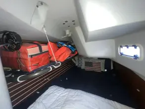 Thumbnail von Santa Cruz 52 MEDUSA
