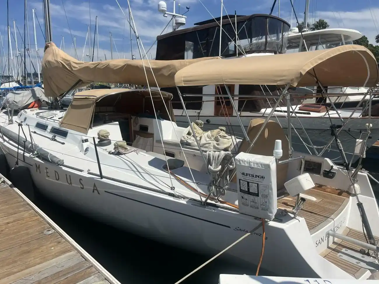 Thumbnail von Santa Cruz 52 MEDUSA