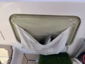 Thumbnail von Santa Cruz 52 MEDUSA