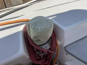 Thumbnail von Santa Cruz 52 MEDUSA