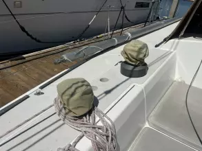 Thumbnail von Santa Cruz 52 MEDUSA