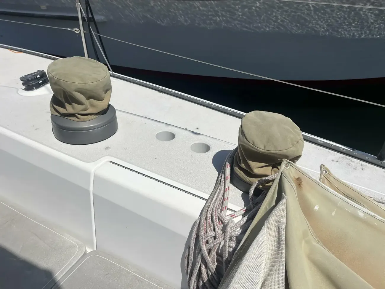 Thumbnail von Santa Cruz 52 MEDUSA