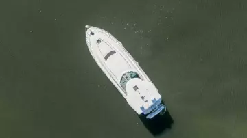 Thumbnail von Sea Ray 480 Motor Yacht Happy Hour