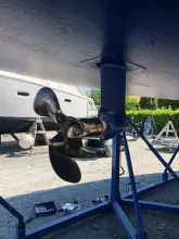 Thumbnail von Bavaria 44 Vision