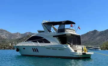 Thumbnail von Sealine T50