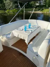 Thumbnail von Sealine T50