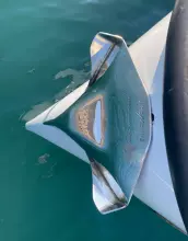 Thumbnail von Saxdor 320 GTC