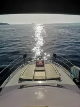 Thumbnail von Prestige 42 Fly