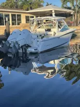 Thumbnail von Blackfin 30