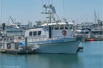 Thumbnail von Blanchard 64 El Capitan