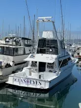 Thumbnail von Mikelson 58 EXTENDED OCEAN EYES