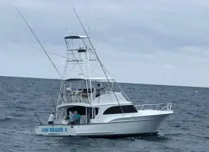 Sunny Briggs Flybridge Sportfish LOW BIDDER X