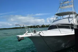 Thumbnail von Sunny Briggs Flybridge Sportfish LOW BIDDER X