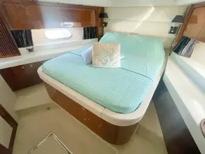 Thumbnail von Sunseeker Predator 60 LAKSHIMI