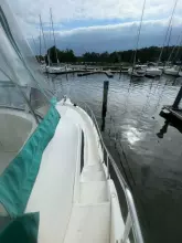 Thumbnail von Silverton 392 Motor Yacht Scott Free & Gigi Too