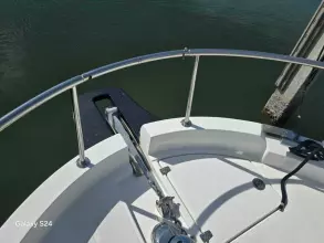 Thumbnail von Greenline 39 Fully Charged