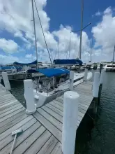 Thumbnail von Jeanneau Sun Odyssey 519 Sea Senora