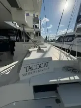 Thumbnail von Leopard 50 Taco Cat