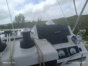 Thumbnail von Leopard 45 Fan Sea