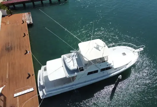Millennium 52