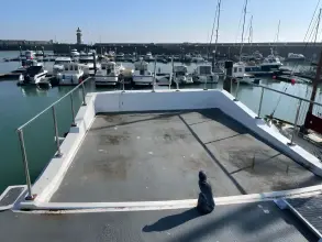 Thumbnail von Houseboat Powercat 40