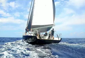 Thumbnail von MORE 55