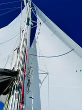 Thumbnail von Lagoon 450 S Belle