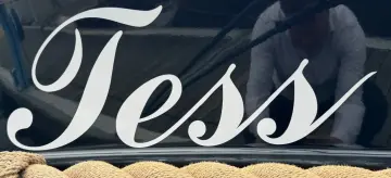 Thumbnail von Van Wijk 10.30