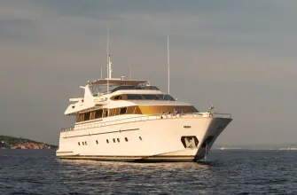 Thumbnail von Falcon 100