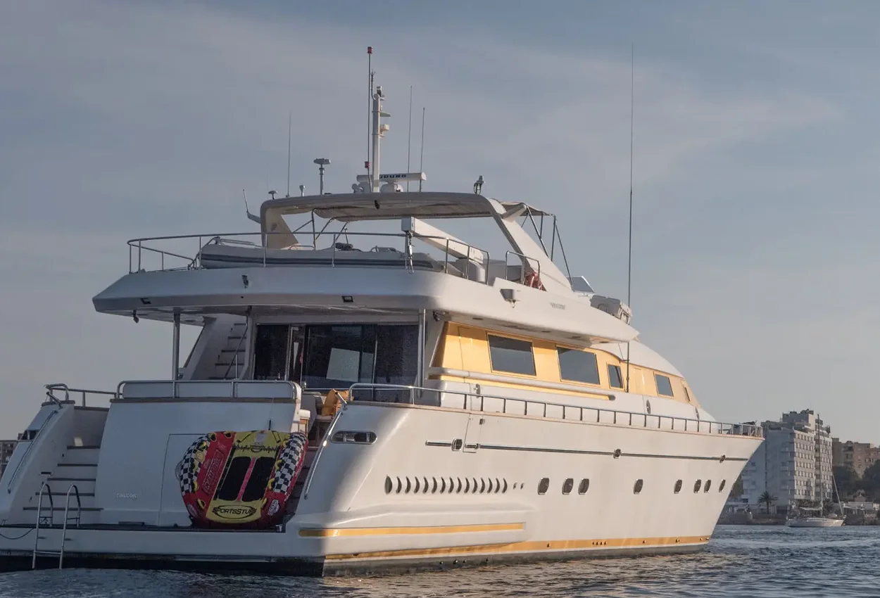 Thumbnail von Falcon 100