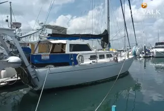 Thumbnail von Henry Morgan 50