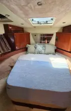 Thumbnail von Sealine T50