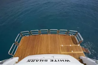 Thumbnail von Johnson 110 JOHNSON 110 FLYBRIDGE