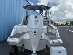 Thumbnail von Cobia 240 DC