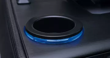 Thumbnail von Bennington Fishtoon 22S