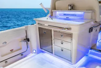 Thumbnail von Grady White Freedom 345