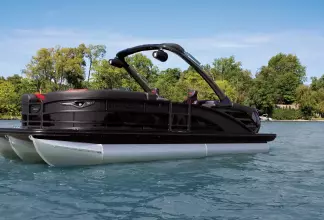 Thumbnail von Bennington Fishtoon 22S