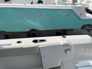 Thumbnail von Boston Whaler 270 Vantage