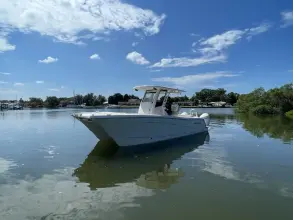 Thumbnail von World Cat 260 CC