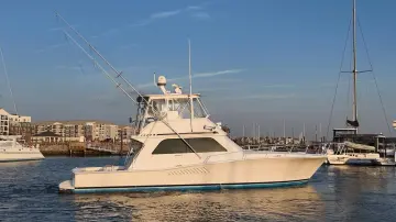 Thumbnail von Viking 47 Convertible