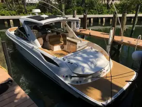 Sea Ray SLX 350