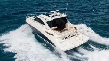 Thumbnail von Sea Ray 510 Sundancer