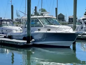Thumbnail von Boston Whaler 345 Conquest