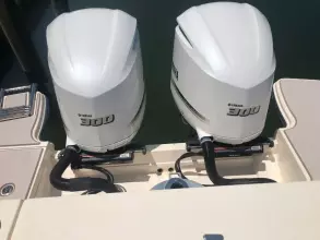 Thumbnail von Grady White Freedom 325