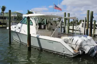 Thumbnail von Pursuit OS 385