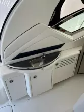 Thumbnail von Sea Ray 390 Sundancer