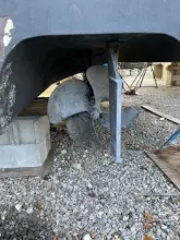 Thumbnail von Sea Ray 390 Sundancer