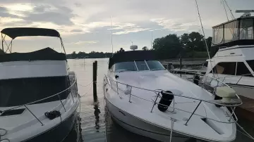 Thumbnail von Cruisers Yachts 3870 Express