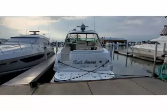 Thumbnail von Sea Ray 550 Sundancer