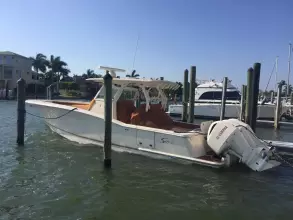 Thumbnail von Scout 350 LXF